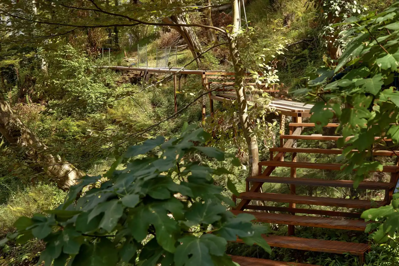 Федеральный застройщик создает новый парк в Сочи 