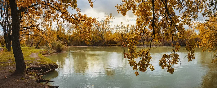 Молодёжный сквер